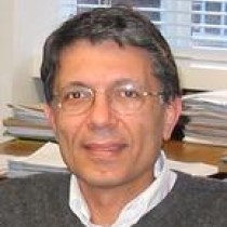 Ali Madanipour Profile Image